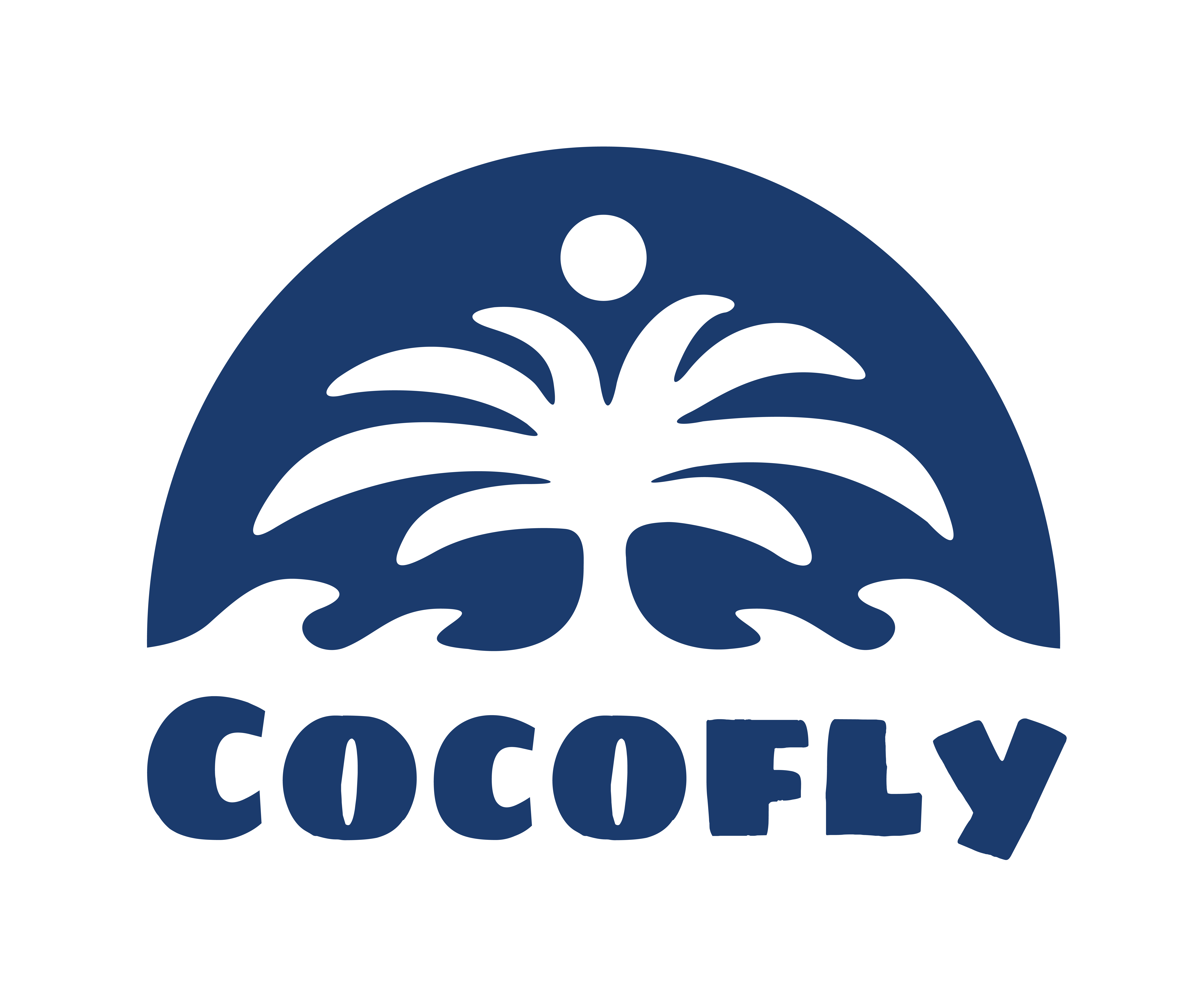 Cocofly